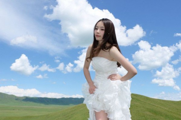 营养满分葵花籽盘，养肾护肝，抗衰老新选择